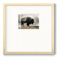 Geyser Basin - Double Matboard Framed Print