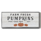 Farm Fresh Pumpkins - Floater Framed Canvas Print