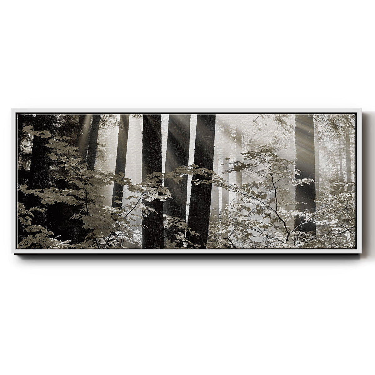 Misty Forest - Floater Framed Canvas Print