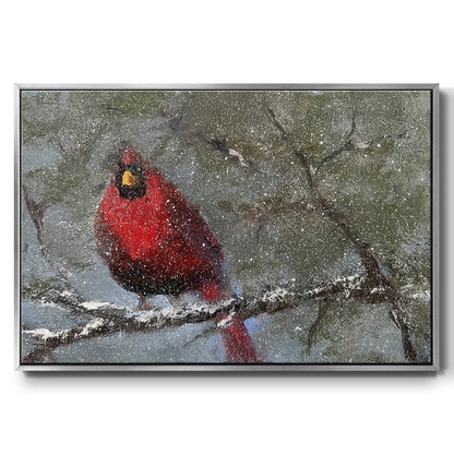 Cardinal in Snow I - Floater Framed Canvas Print