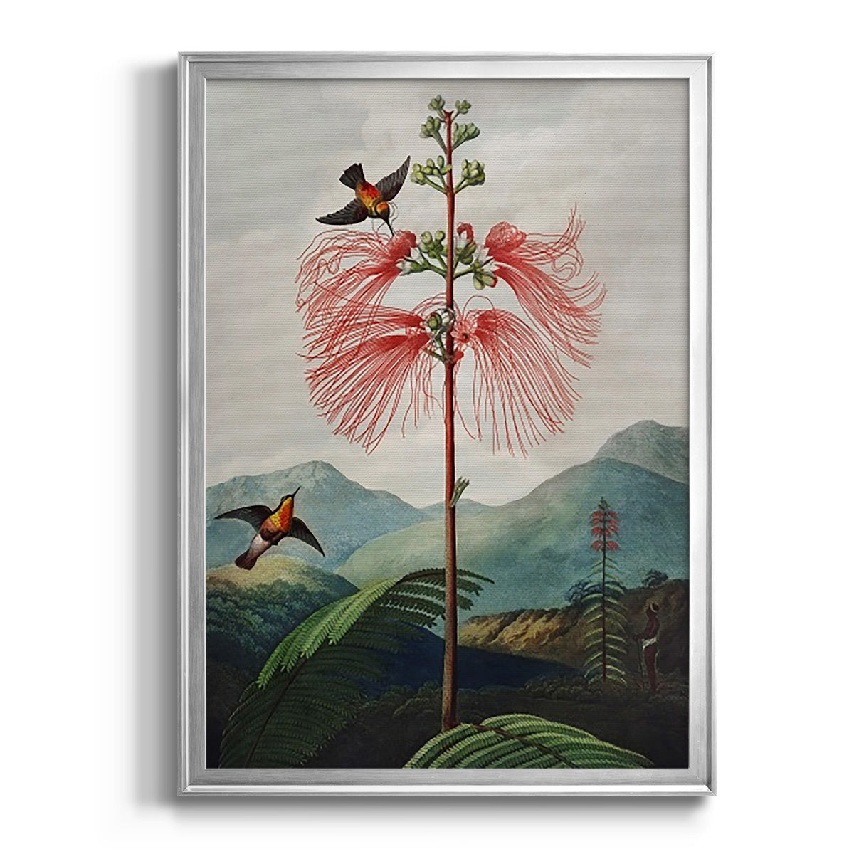 Temple of Flora VIII - Modern Framed Canvas Print