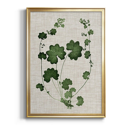 Forest Foliage on Linen II - Modern Framed Canvas Print