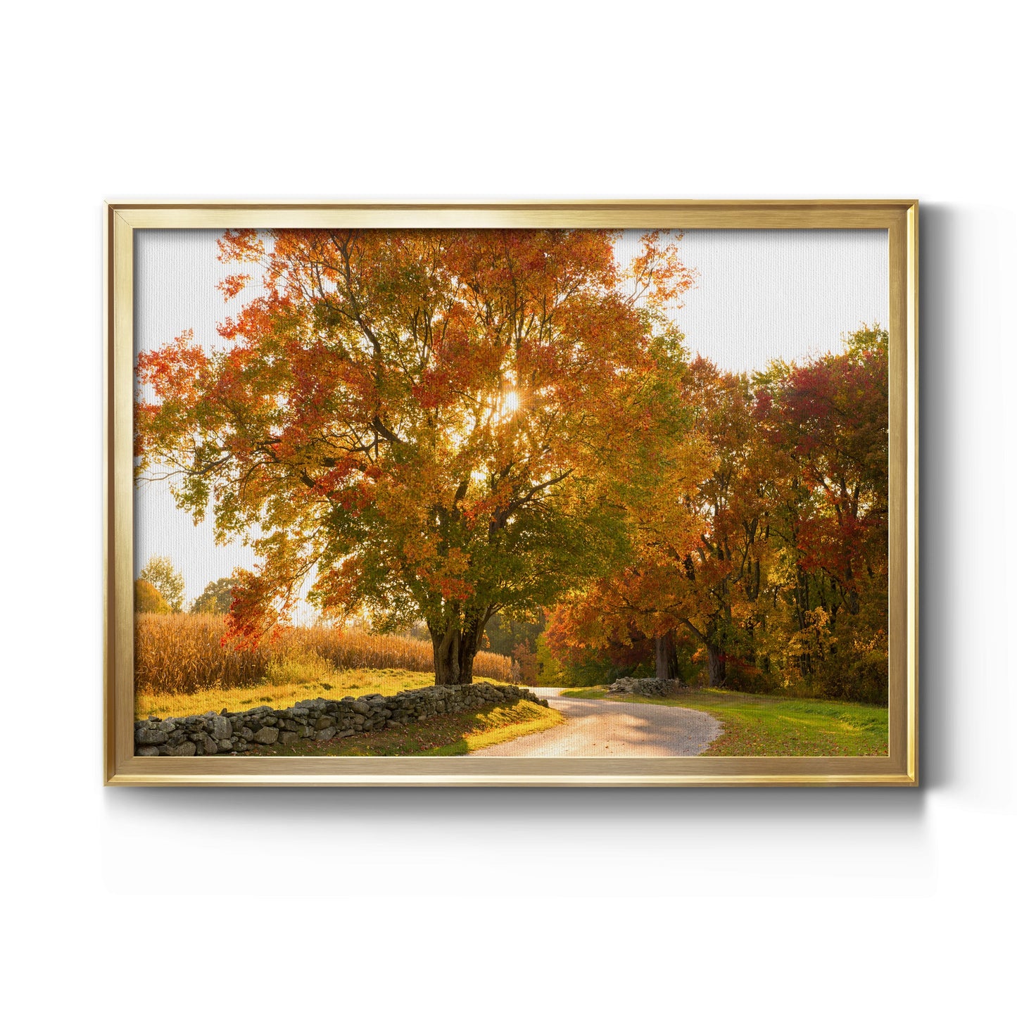 Maple Tree Drive Premium Classic Framed Canvas - Ready to Hang