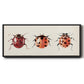 Ladybug Display I - Floater Framed Canvas Print