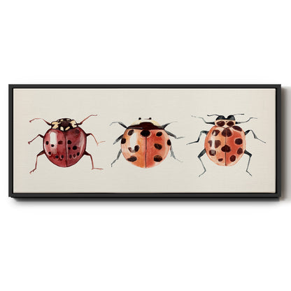 Ladybug Display I - Floater Framed Canvas Print