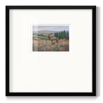 Western Wildlife II - Double Matboard Framed Print