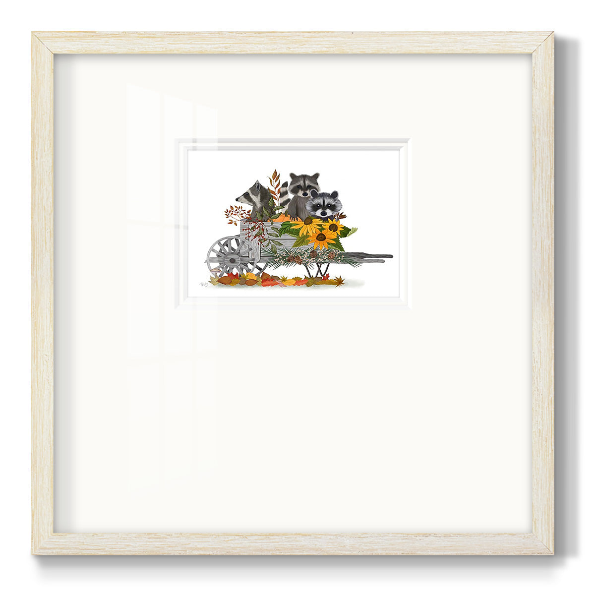 Raccoon Wheelbarrow Premium Framed Print Double Matboard