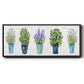 Herbs In A Row - Floater Framed Canvas Print