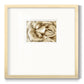 Neutral Wall Flower II - Double Matboard Framed Print