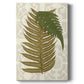 Garden Ferns II Premium Gallery Wrapped Canvas - Ready to Hang