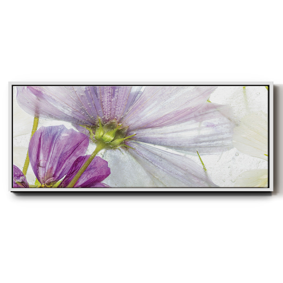 Frozen Floral I - Floater Framed Canvas Print