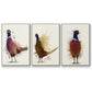 Pheasant Splash 3 - Framed Premium Gallery Wrapped Canvas L Frame 3 Piece Set - Ready to Hang