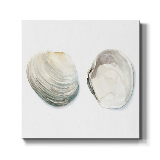 Watercolor Shells II - Canvas Art Print