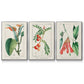 Turpin Tropical Botanicals I - Floater Framed Canvas Set