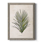 Palm Botanical I - Barnwood Framed Canvas Print