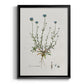 Bellflower Study - Modern Framed Canvas Print