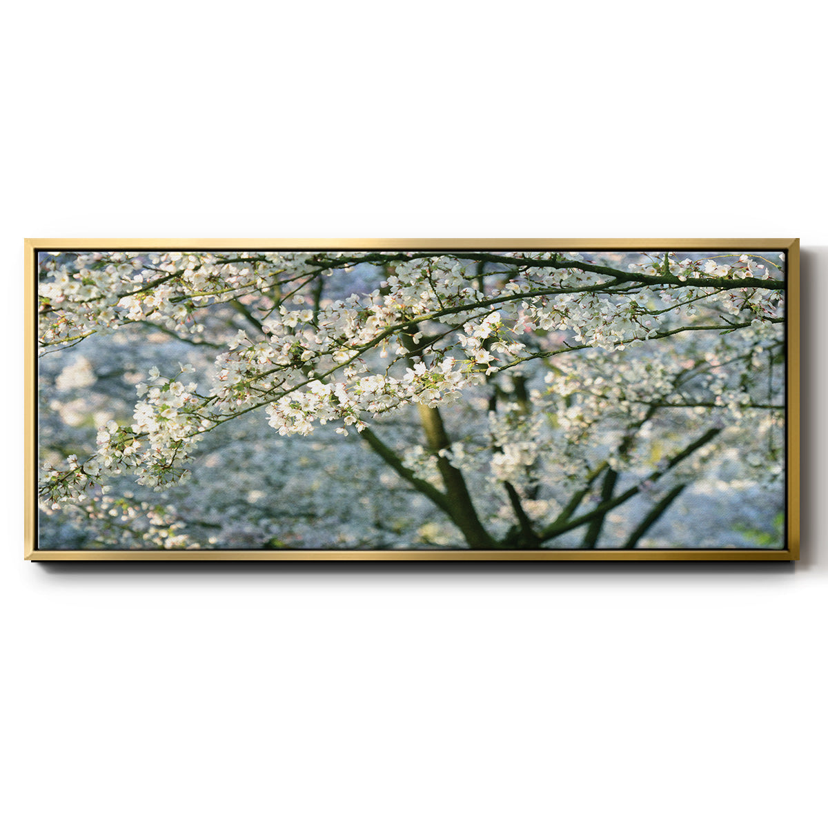 In All Your Glory - Floater Framed Canvas Print