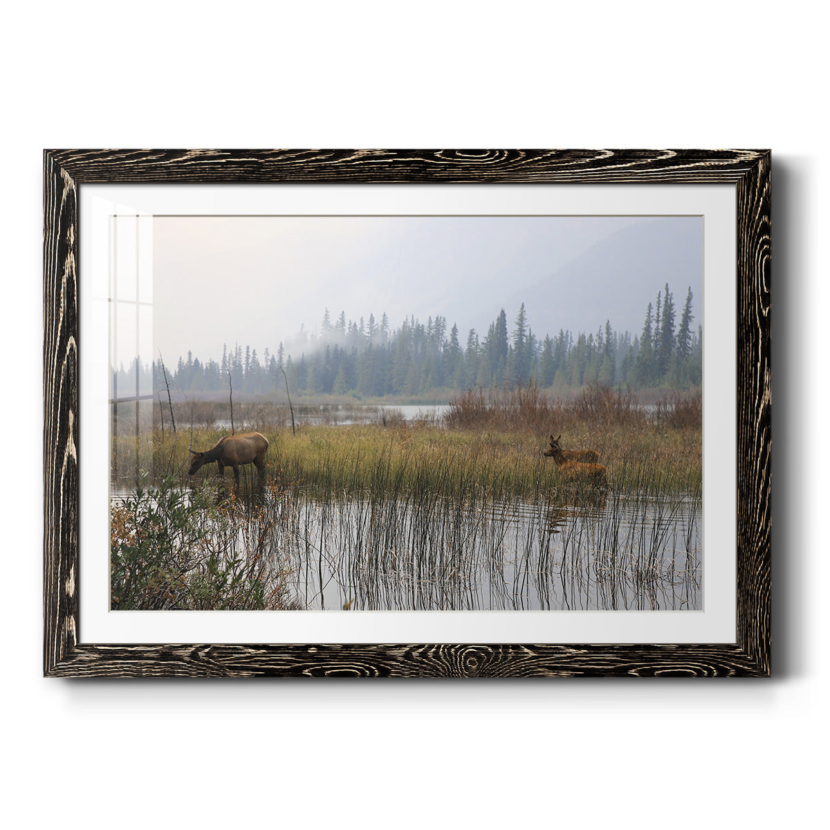 Out with the Twins - Barnwood Framed Art Print