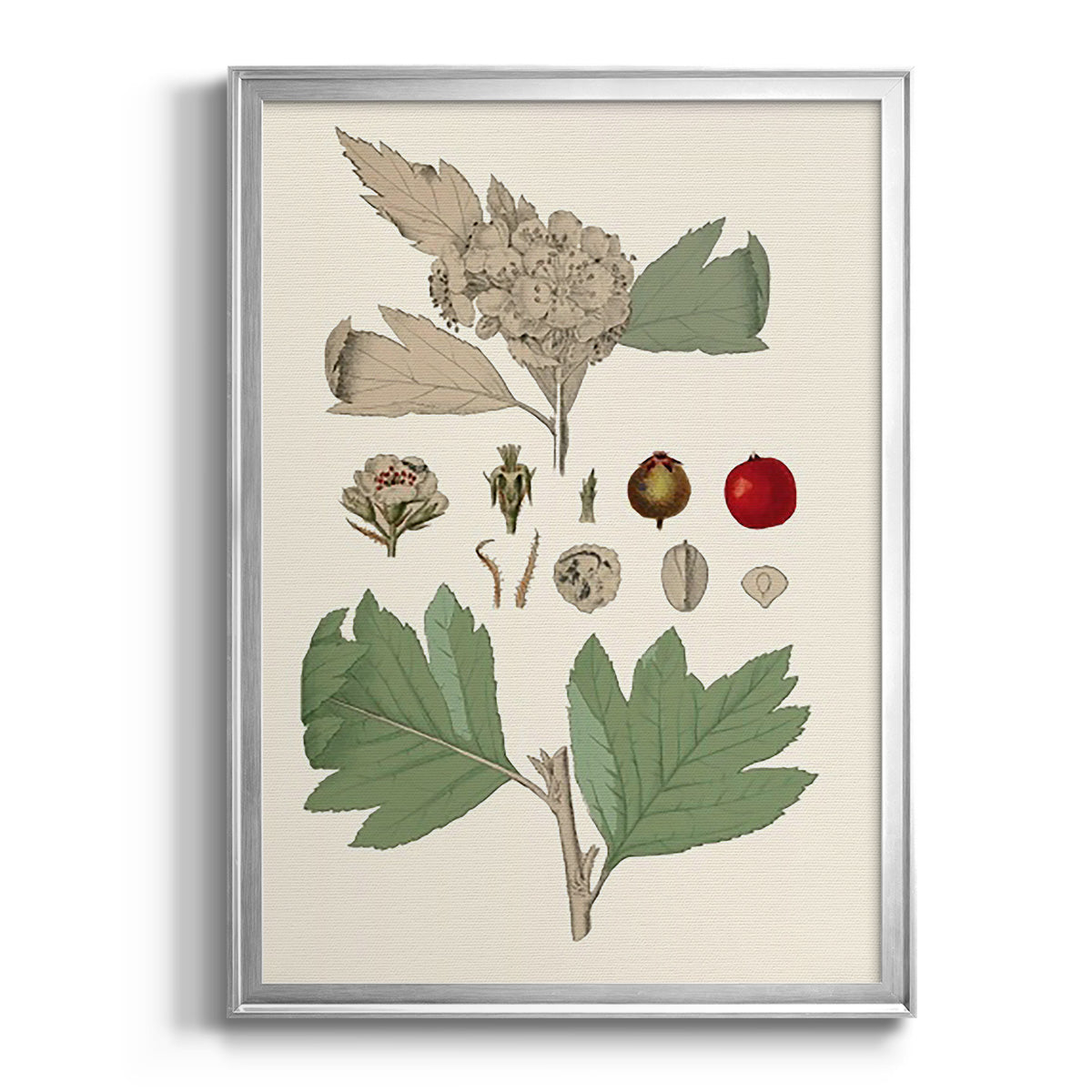 Leaves & Berries IV - Modern Framed Canvas Print