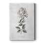 Vintage Botanical II Premium Gallery Wrapped Canvas - Ready to Hang