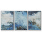 Coastal Seas I - Floater Framed Canvas Set