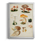 Mushroom Species IV - Modern Framed Canvas Print