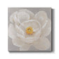 White Peony II-Premium Gallery Wrapped Canvas - Ready to Hang