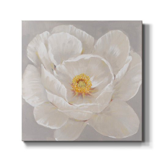 White Peony II-Premium Gallery Wrapped Canvas - Ready to Hang