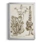 Sepia Botanical Journal IV - Modern Framed Canvas Print