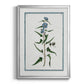 Shabby Chic Botanical I - Modern Framed Canvas Print