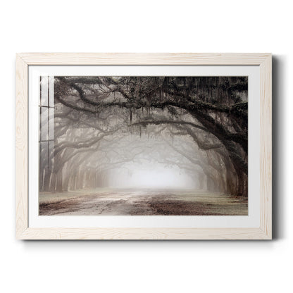 Timeless Plantation Drive - Barnwood Framed Art Print