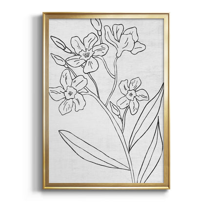 Botanical Sketch II - Modern Framed Canvas Print