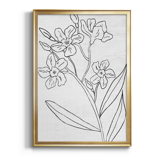 Botanical Sketch II - Modern Framed Canvas Print