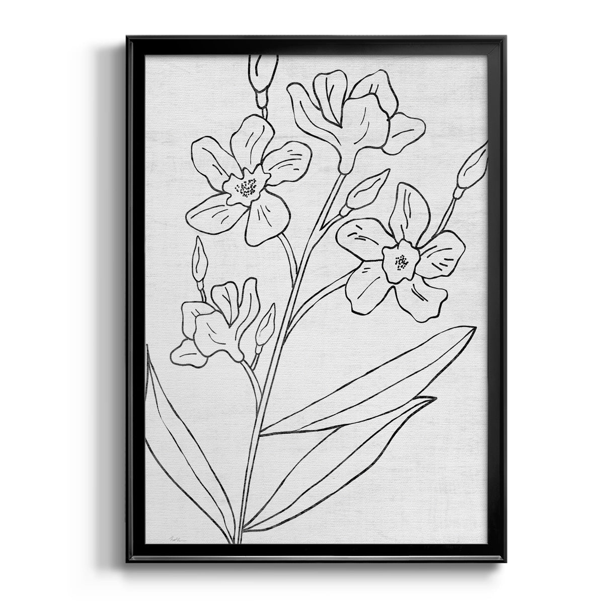 Botanical Sketch I - Modern Framed Canvas Print