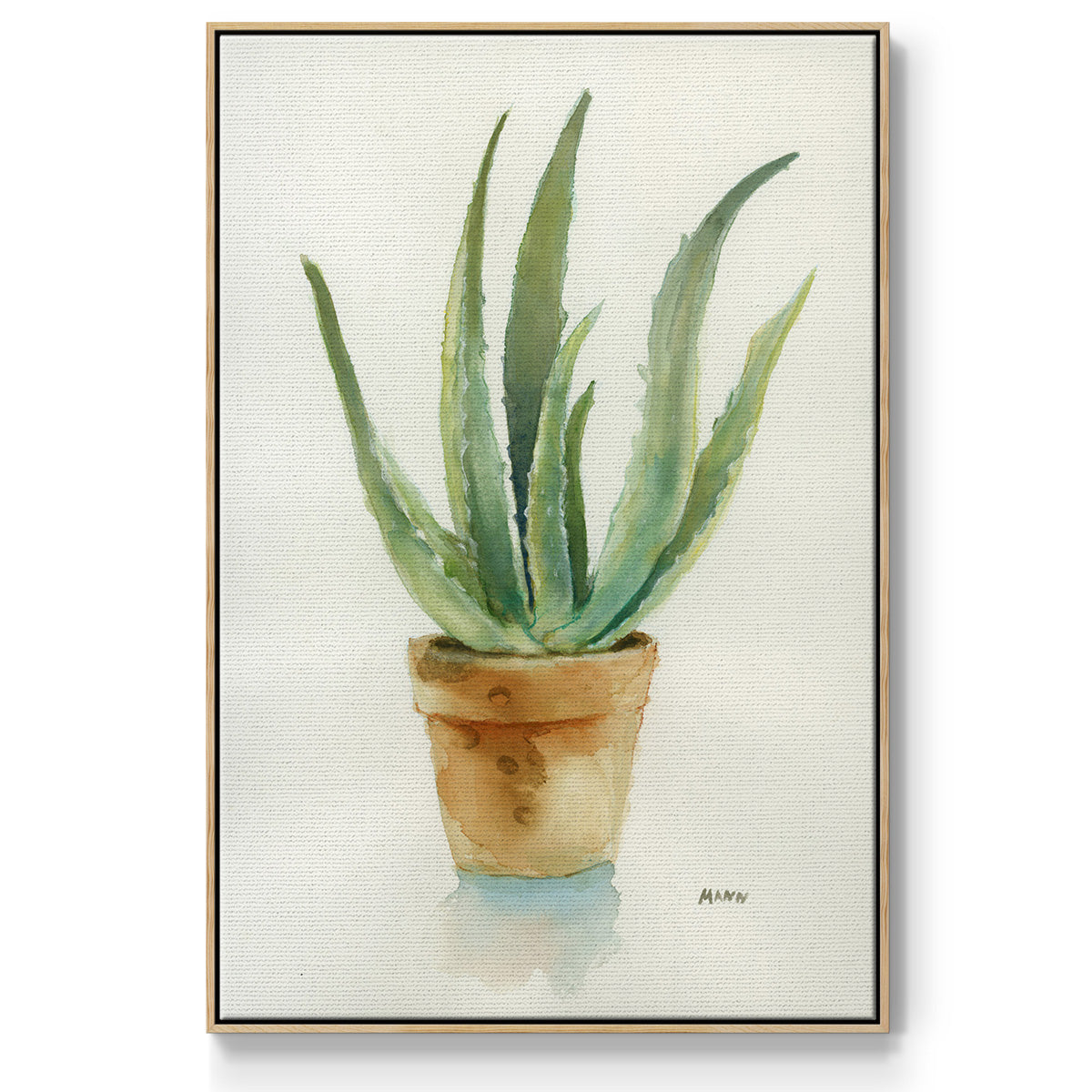 Succulent IV - Framed Premium Gallery Wrapped Canvas L Frame - Ready to Hang