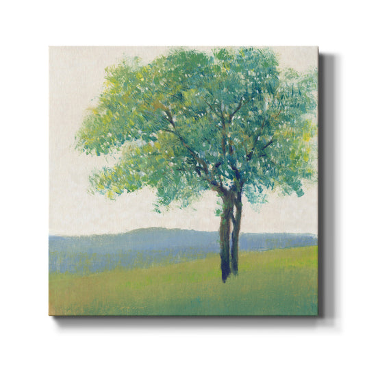 Solitary Tree II - Canvas Art Print