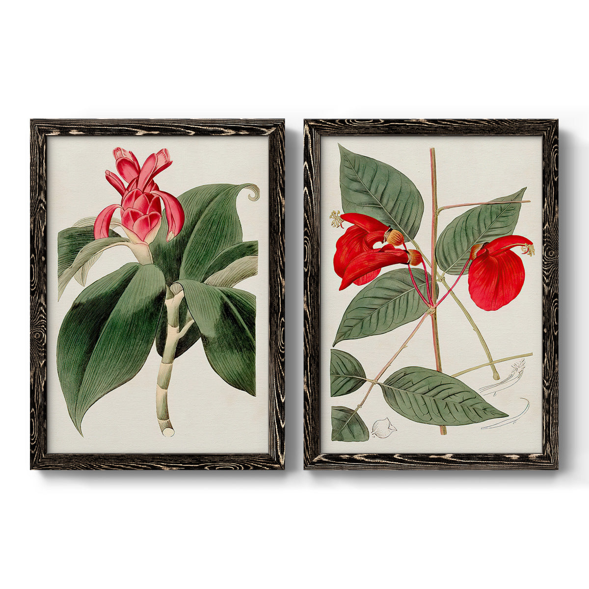 Flora of the Tropics I - Barnwood Framed Canvas Set