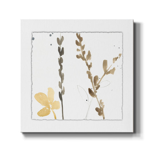 Branch Contours VIII - Canvas Art Print