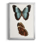 Antique Blue Butterflies IV - Modern Framed Canvas Print