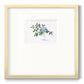 Rustic Simplicity I - Double Matboard Framed Print
