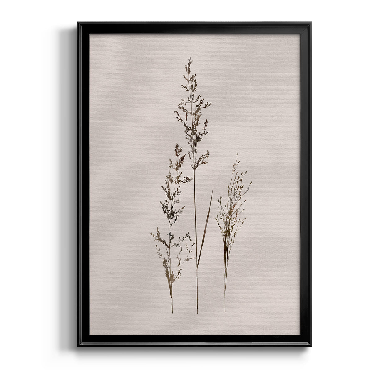 Delicate Stems I - Modern Framed Canvas Print