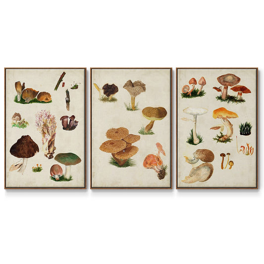 Mushroom Species IV - Framed Premium Gallery Wrapped Canvas L Frame 3 Piece Set - Ready to Hang