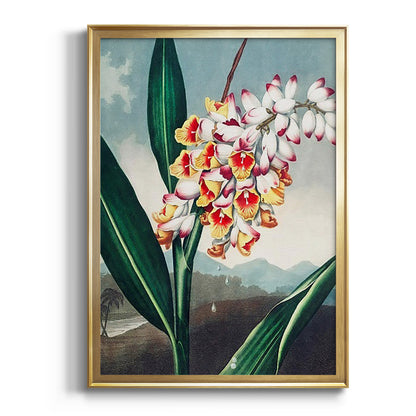 Temple of Flora VII - Modern Framed Canvas Print