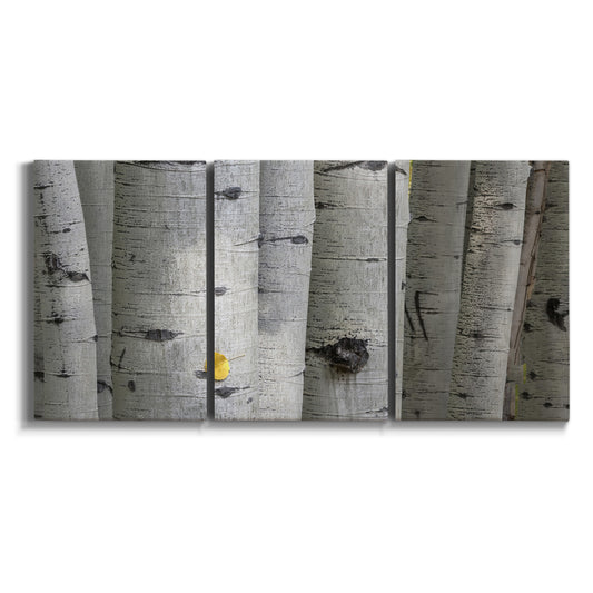 Three-panel canvas wall art featuring close up tree bark texture photograph on white background.