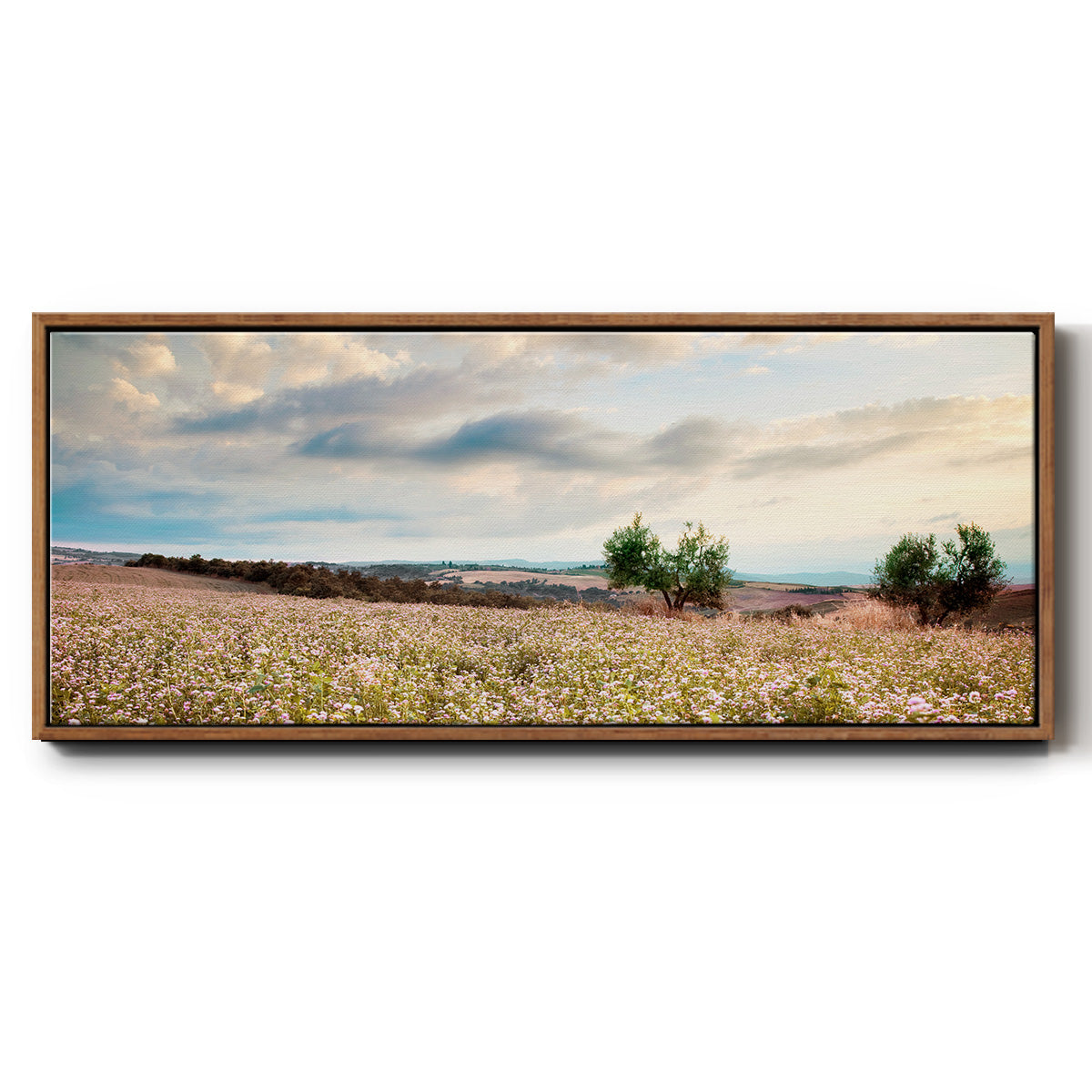 Tuscan Wildflowers - Floater Framed Canvas Print