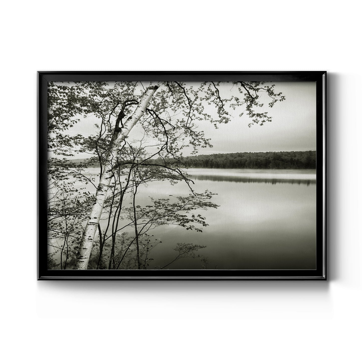 Adirondack Reflections - Modern Framed Canvas Print