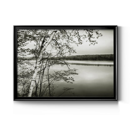 Adirondack Reflections - Modern Framed Canvas Print