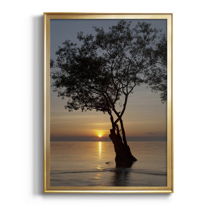 Sunset Silhouette - Modern Framed Canvas Print