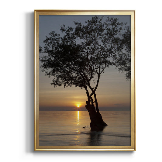 Sunset Silhouette - Modern Framed Canvas Print