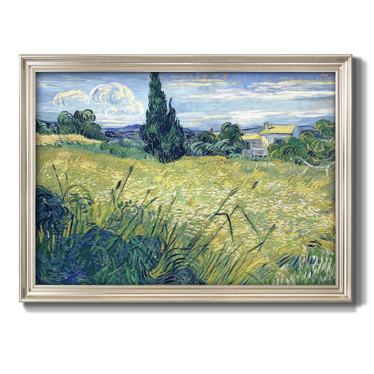 Green Wheat Field with Cypress - Ornate Framed Canvas Print